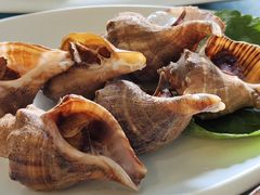 海螺-映像威海·海鲜味道(市区店)