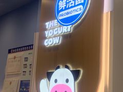 -一只酸奶牛(春熙路店)