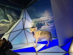 -贝林大翅鲸简餐厅(国家海洋博物馆店)