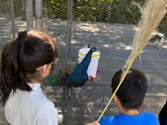 -福建鲤鱼洲酒店