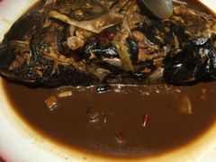-旺顺阁鱼头泡饼(常营店)