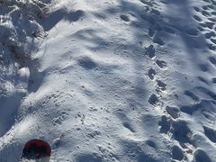 -鳌山滑雪度假区