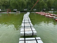 -东方巨龟苑景区