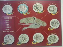 肚的种类-金生隆(六铺炕店)