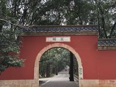 -灵谷景区