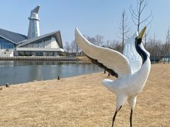 -盐城丹顶鹤湿地生态旅游区