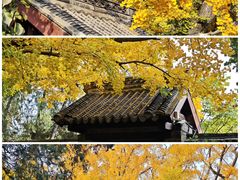 -浮来山风景区