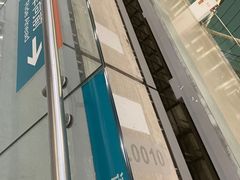 -龙阳路磁悬浮列车总站-停车场