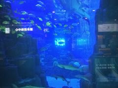 -成都浩海立方海洋公园