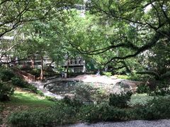 -香港大学