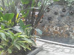 android_upload_pic-厦门日月谷温泉渡假村