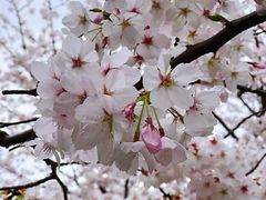 -上海体育场(地铁站)