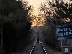 -府君山公园