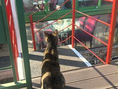 -EATALIA意塔利意式餐厅(鼓楼店)