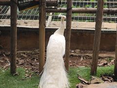 -昆明动物园