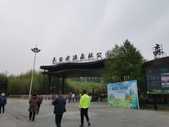 -黄海国家森林公园