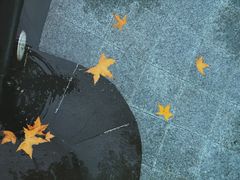-白桦林温泉谷