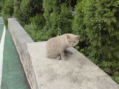-四门塔风景区