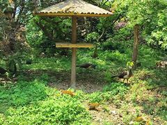 -宁波野生动物园