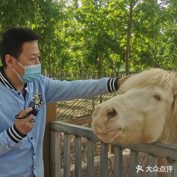 诸城动物园#