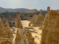 -元谋浪巴铺土林景区