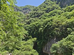 -陕西省红河谷森林公园