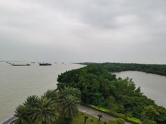 -大湾区中央湿地公园