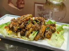 砧板羊排-蓝天宾馆·融合菜·宴席(解放大道店)