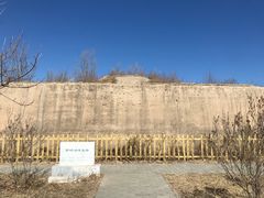 -野鸭湖国家湿地公园