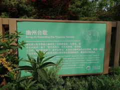 -大兴滨河森林公园