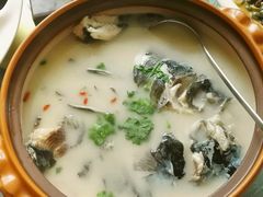 浓汤鱼头-北大荒淡水鱼馆(秀水广场店)