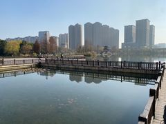 -洋湖国家湿地公园