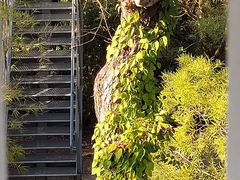 -福道