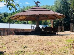 -石家庄市动物园