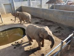 -西霞口神雕山野生动物世界