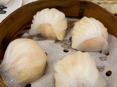 蝦餃-沙田新强记烧鹅海鲜酒家