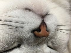 -荔康动物医院(康王北路店)