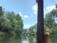 -溱湖国家湿地公园