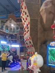 -卡通尼·Safari非洲探索乐园·生日会(金桥国际商业广场店)