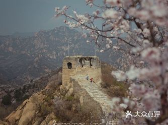 游玩昌赤路大庄科赏花海登野长城