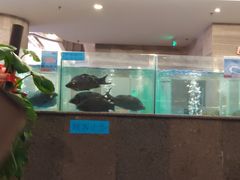 -大铁勺新津菜(迎水道店)