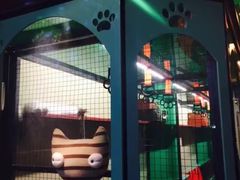 -猫咪博物馆(顶澳仔猫街店)