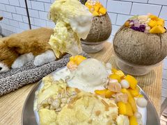 -豆豆冰室·地道招牌椰子冻(大良店)