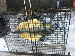 -何适山庄 ·可团建(水长城P2停车场店)