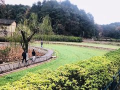 -韶山毛泽东同志故居