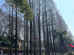 -东坡赤壁风景名胜区