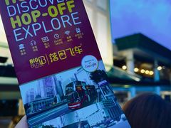 -Big Bus Tours 敞篷观光巴士