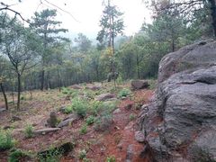 -南京市无想山景区