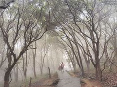 -福建泉州仙公山风景名胜区