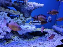 -太平洋海底世界